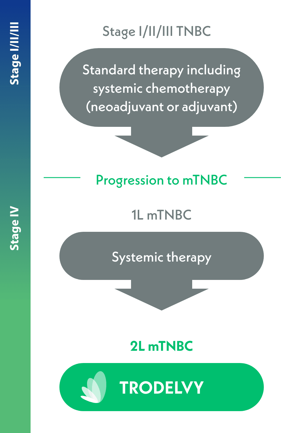 Hypothetical treatment flow for TRODELVY® (sacituzumab govitecan-hziy)